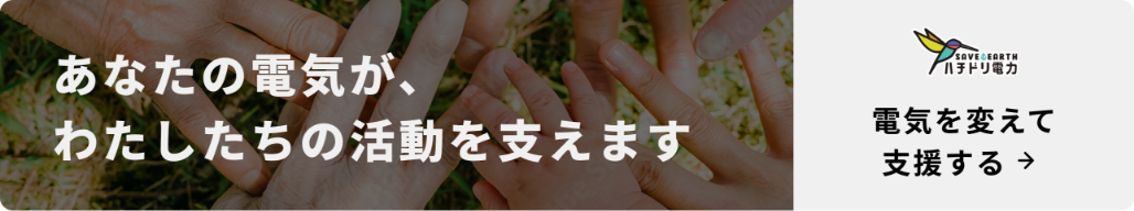 ハチドリ電力