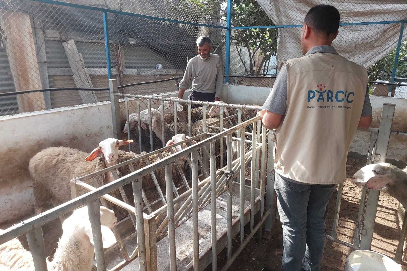 1271a895daf7b24007e40cada488fcf3-1765766323.jpg 1271a895daf7b24007e40cada488fcf3-1765766323.jpg