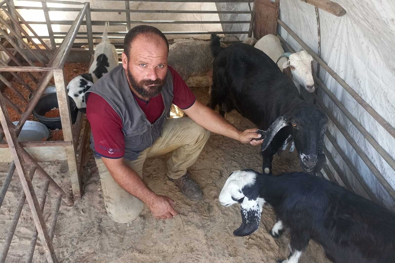 e941581fd357ee9ba3e9fc9773fdd18b-1765766574.jpeg e941581fd357ee9ba3e9fc9773fdd18b-1765766574.jpeg