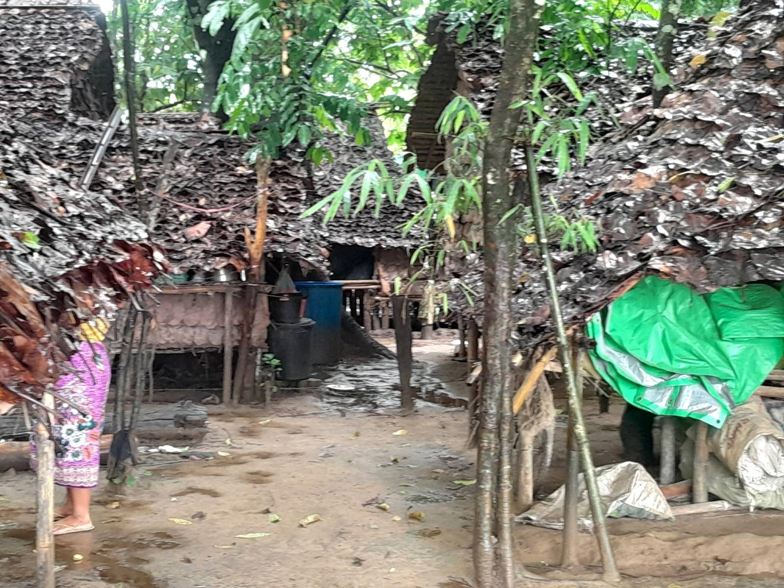 85b7de9385b9314bc65238fac75cc741-1767849155.jpeg 85b7de9385b9314bc65238fac75cc741-1767849155.jpeg