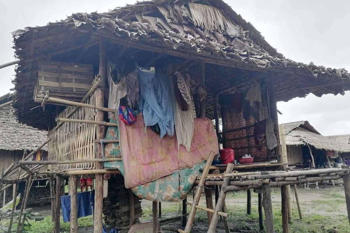 fe70ef7ef1e1358900c11cceae03db3f-1767848668.jpg fe70ef7ef1e1358900c11cceae03db3f-1767848668.jpg