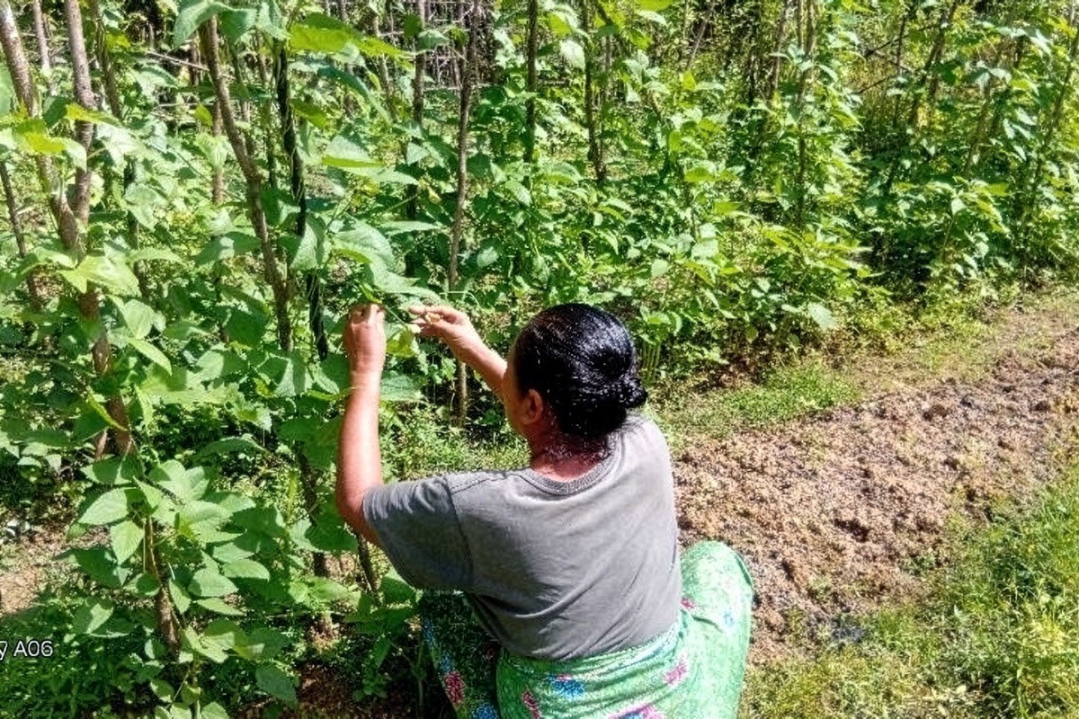 532bdfb006ca3ce4a451b55f43b9bf00-1771295866.jpg 532bdfb006ca3ce4a451b55f43b9bf00-1771295866.jpg