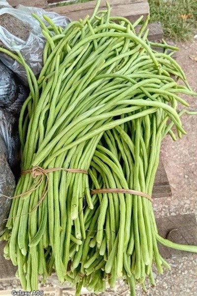 f790bbc3a9e84a40319579be38f2ac32-1771295874.jpg f790bbc3a9e84a40319579be38f2ac32-1771295874.jpg