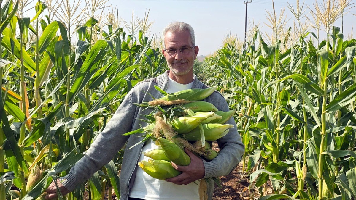 2bf3dc3e64357b72d23f5d15dd729405-1771039192.jpg 2bf3dc3e64357b72d23f5d15dd729405-1771039192.jpg