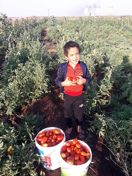 d3119566910faee1293cdf2b7eb950c5-1771039365.jpg d3119566910faee1293cdf2b7eb950c5-1771039365.jpg