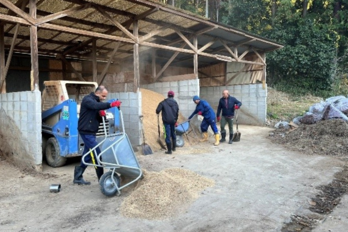 bbba06f40b55ff49a4b955238060b1af-1776064160.png bbba06f40b55ff49a4b955238060b1af-1776064160.png