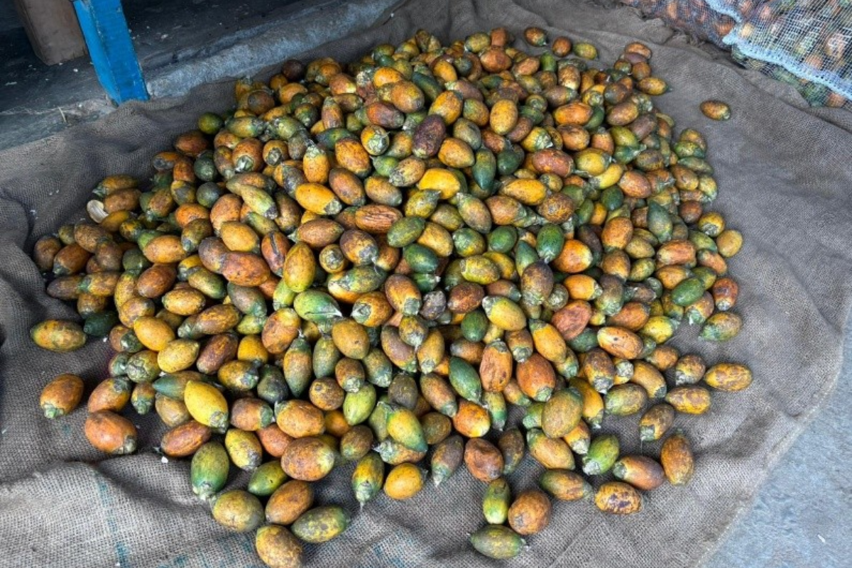 852da89822fce1a2bce133aa660fdfe8-1776064212.png 852da89822fce1a2bce133aa660fdfe8-1776064212.png