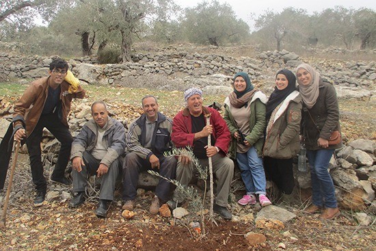 パレスチナ西岸 ボランティアと農家をつなぐ1000本のオリーブ -2