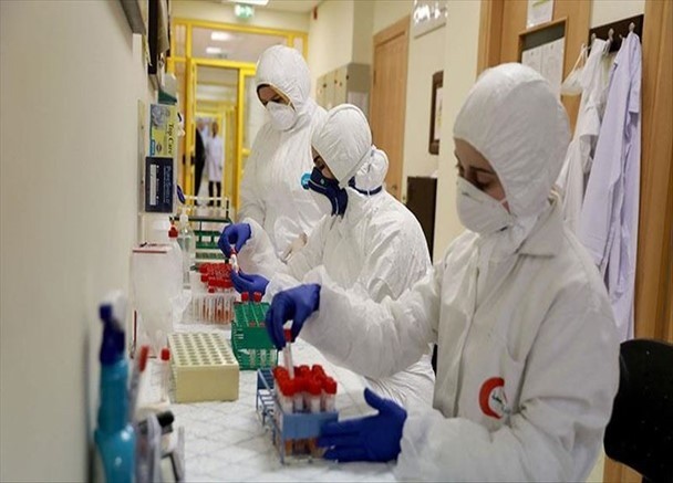 ガザ、新型コロナウイルス規制下での女性グループの活動