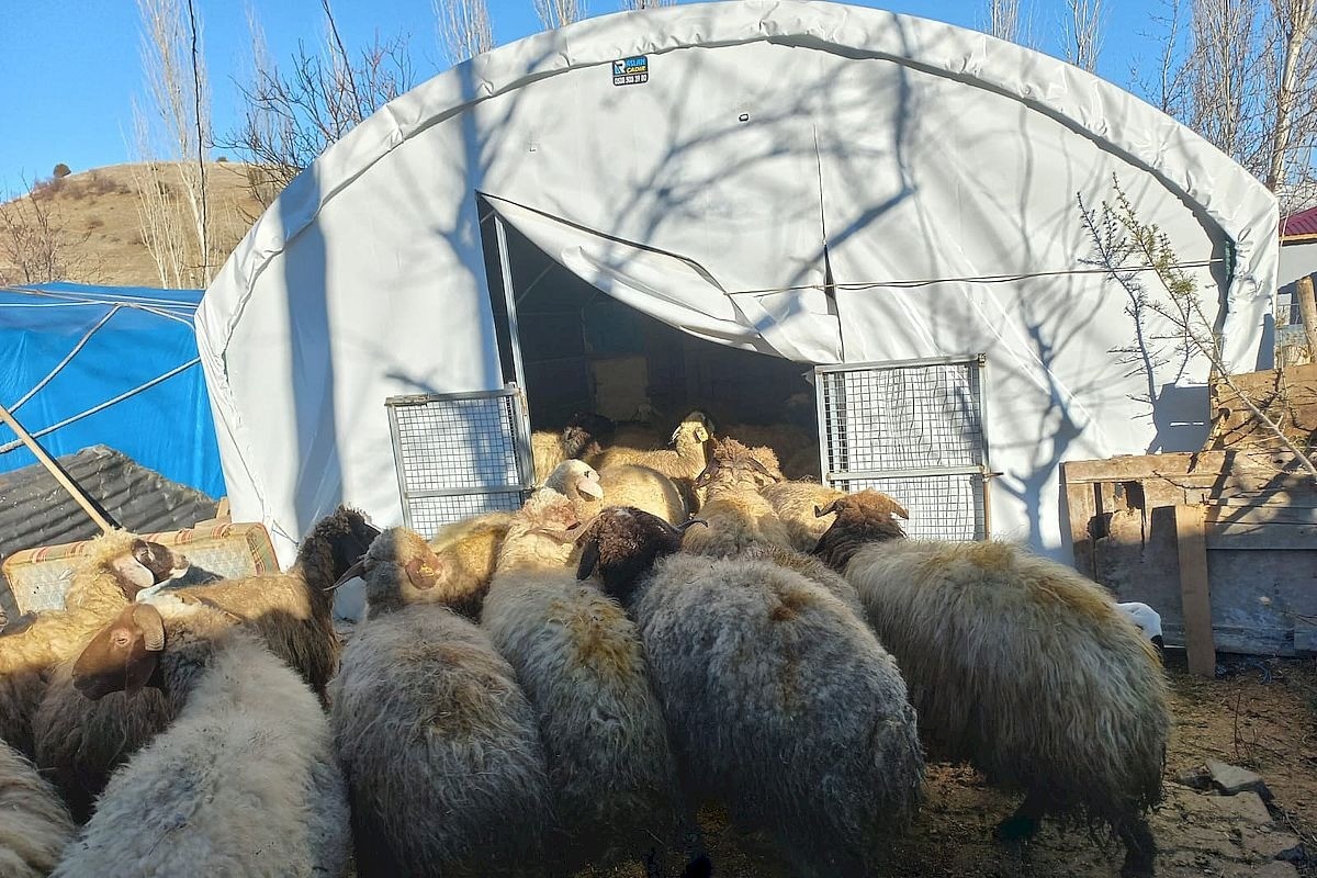 トルコ：寒さ厳しい地で。越冬支援と家畜用テントの設置