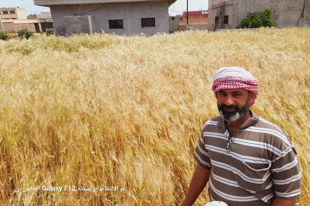 シリアは夏野菜の収獲時期を迎えました