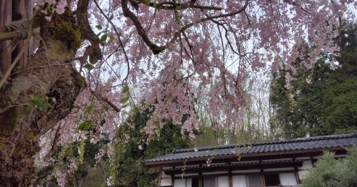 能登地震 　想いを繋いで