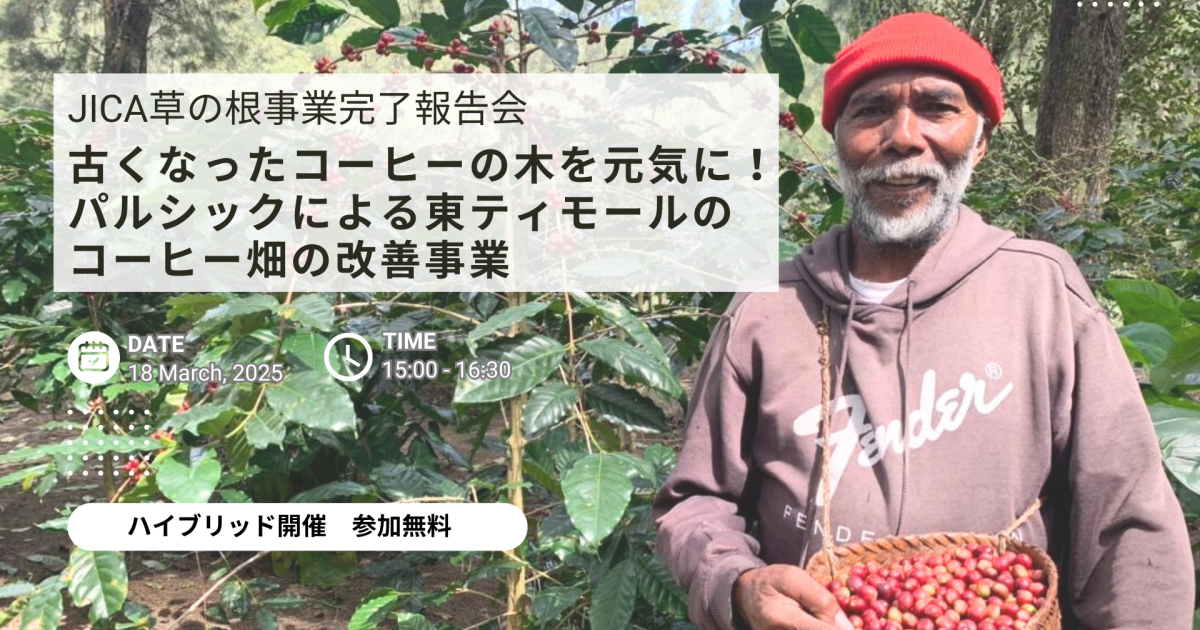 【3.18開催】＜JICA草の根事業完了報告会＞古くなったコーヒーの木を元気に！パルシックによる東ティモールのコーヒー畑の改善事業