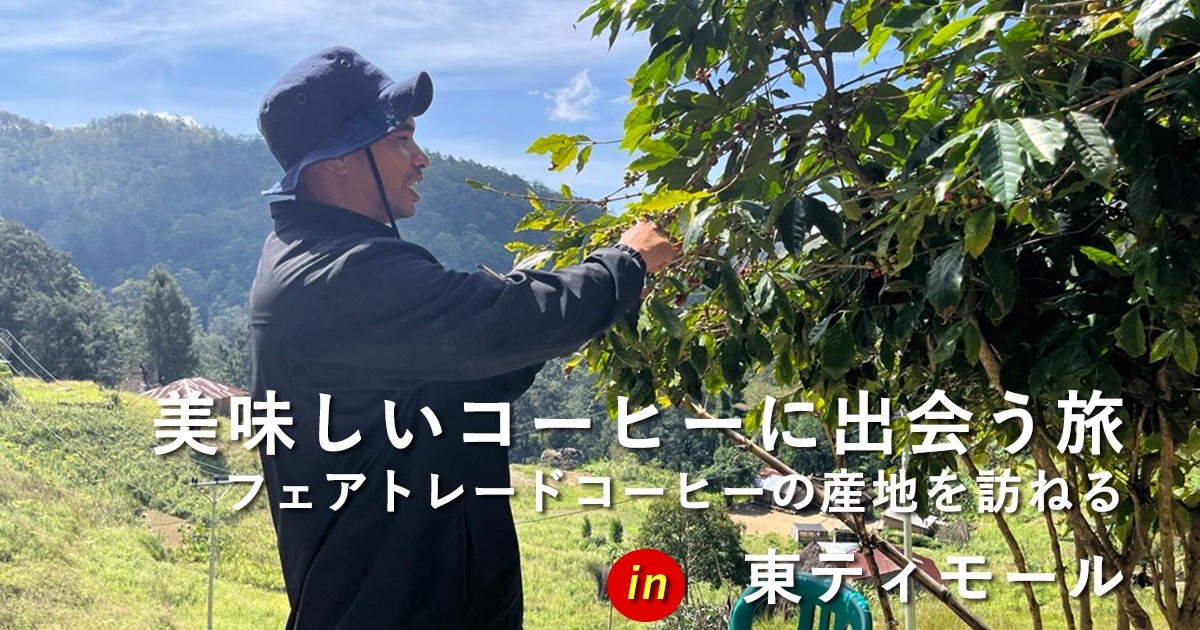 【参加者募集】美味しいコーヒーに出会う旅  in 東ティモール