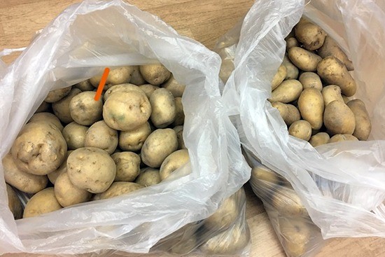 葛飾区「かつしか子ども食堂・居場所づくりネットワーク」発足