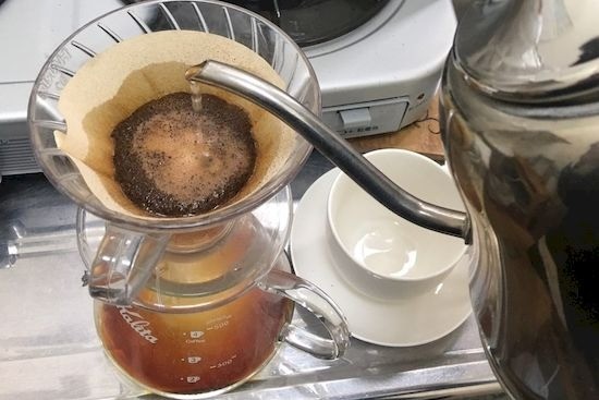 はじめまして！加藤です～ご挨拶と春のご報告～