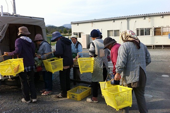 加工食品の製造・販売で試行錯誤中