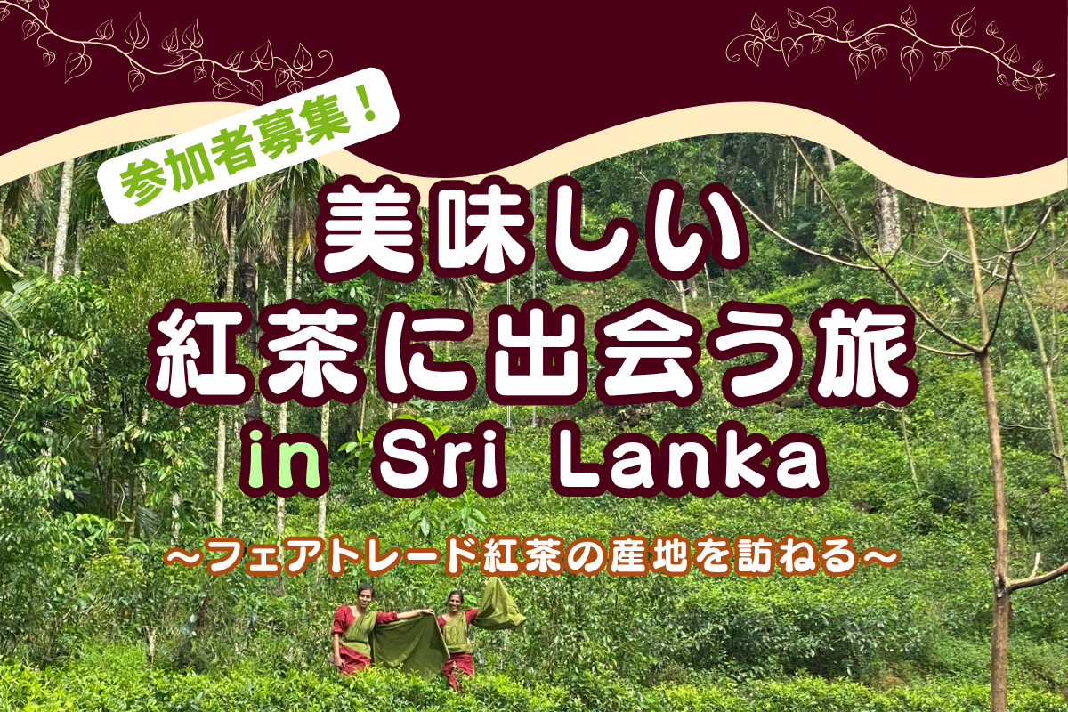 【参加者募集】　美味しい紅茶に出会う旅 　in SriLanka フェアトレード紅茶の産地を訪ねる