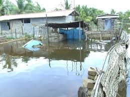 スリランカ北部帰還者への支援のお願い