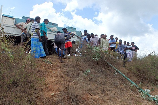 ムライティブ　タンニムリプ池で稚魚放流