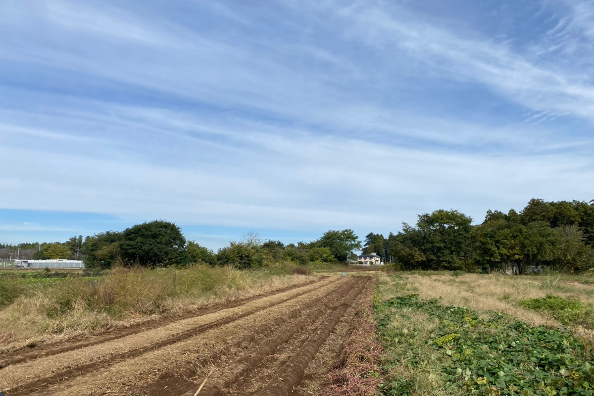 秋の収穫祭にみんかふぇ初出店