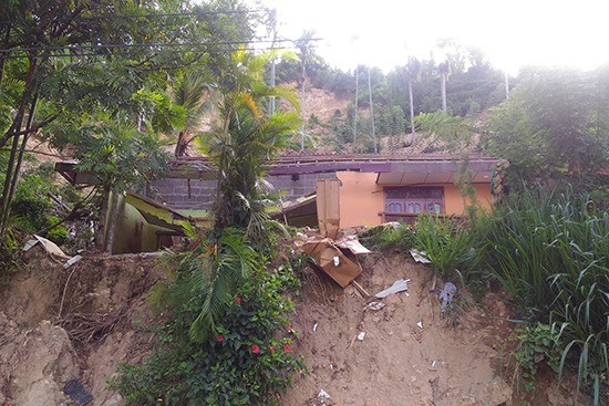 紅茶の生産地、スリランカ南部の茶畑への被害状況