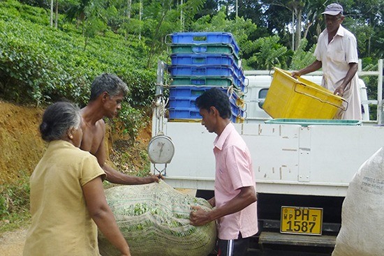 茶葉回収運搬チームの受難