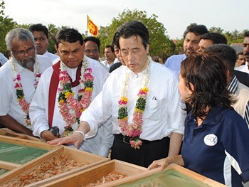 乾燥魚事業地 ヴェラナイの加工場に岡田副総理ご来訪