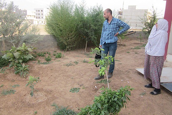 シャンルウルファ 家庭菜園の促進