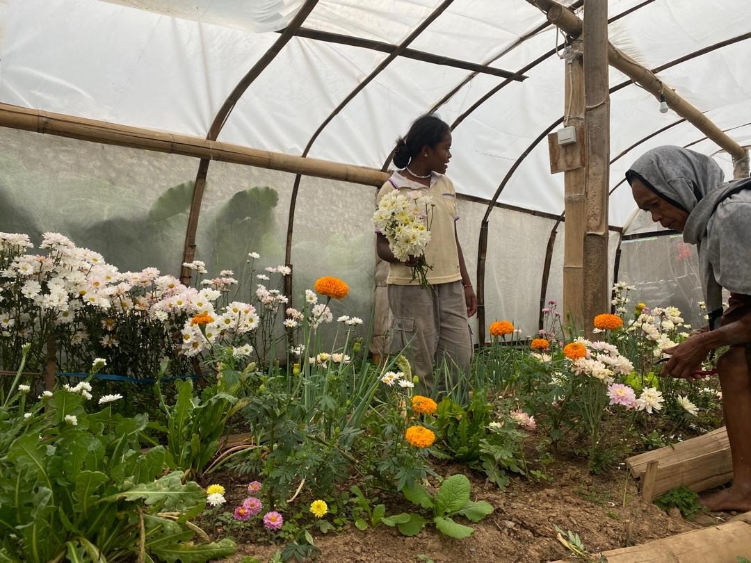 女性の生計向上を通じた子どもの栄養改善